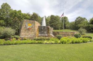 214 Amohi Way 10