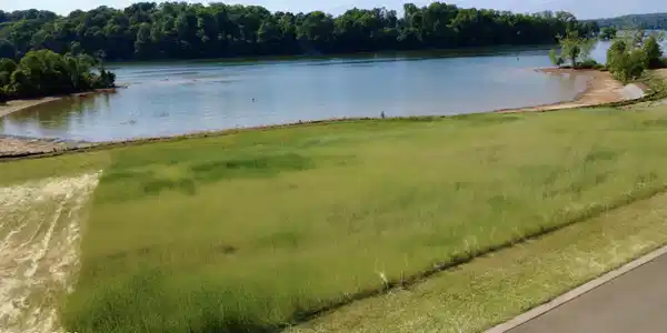 Lot 419 Arcadia Peninsula Way