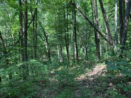 Lot 5 Bayside Subdivision