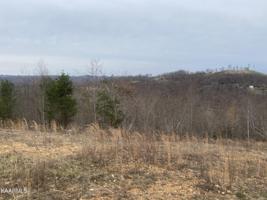 Panoramic Drive