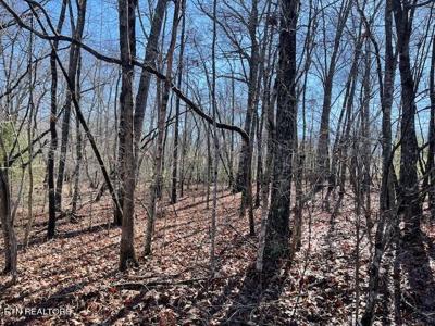 13 Owego Circle