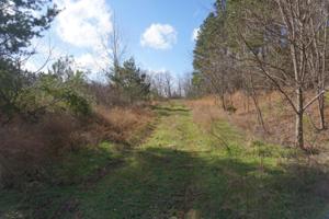 Farnsworth Rd