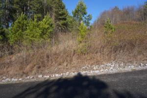 Lot 39 Overlook Way