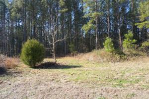 Lot 3r Overlook Way