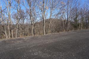 Lot 11 Overlook Way