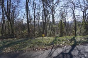 Lot 15 Overlook Way