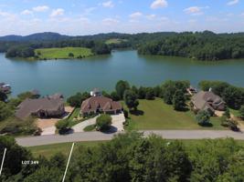 240 Pineberry,