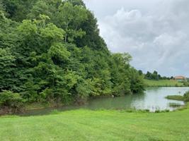 Lot 485 Russell Brothers Road