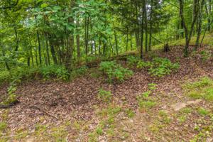 1103 Keetoowah Drive