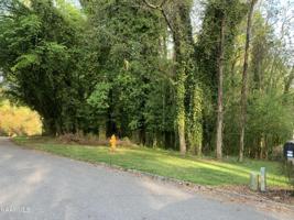 Pine Hill Drive