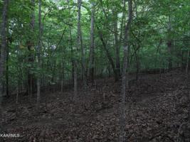 Alder Springs Rd
