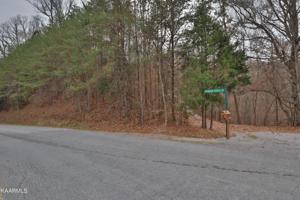 Lot 386 Mountain Shores Rd