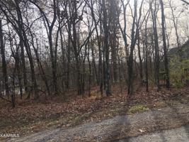 203 Amohi Trace
