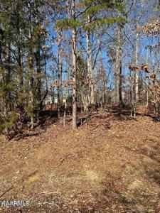 221 Tahlequah 5 Drive