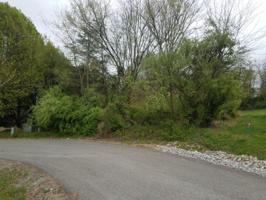 515 Mingo 515 Lane