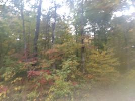 3329 Warpath Drive