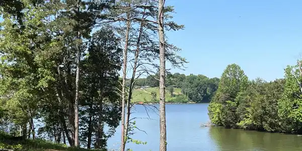 Lot 253 Forest Glade Way