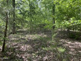 Lot 42 Bayside Blvd