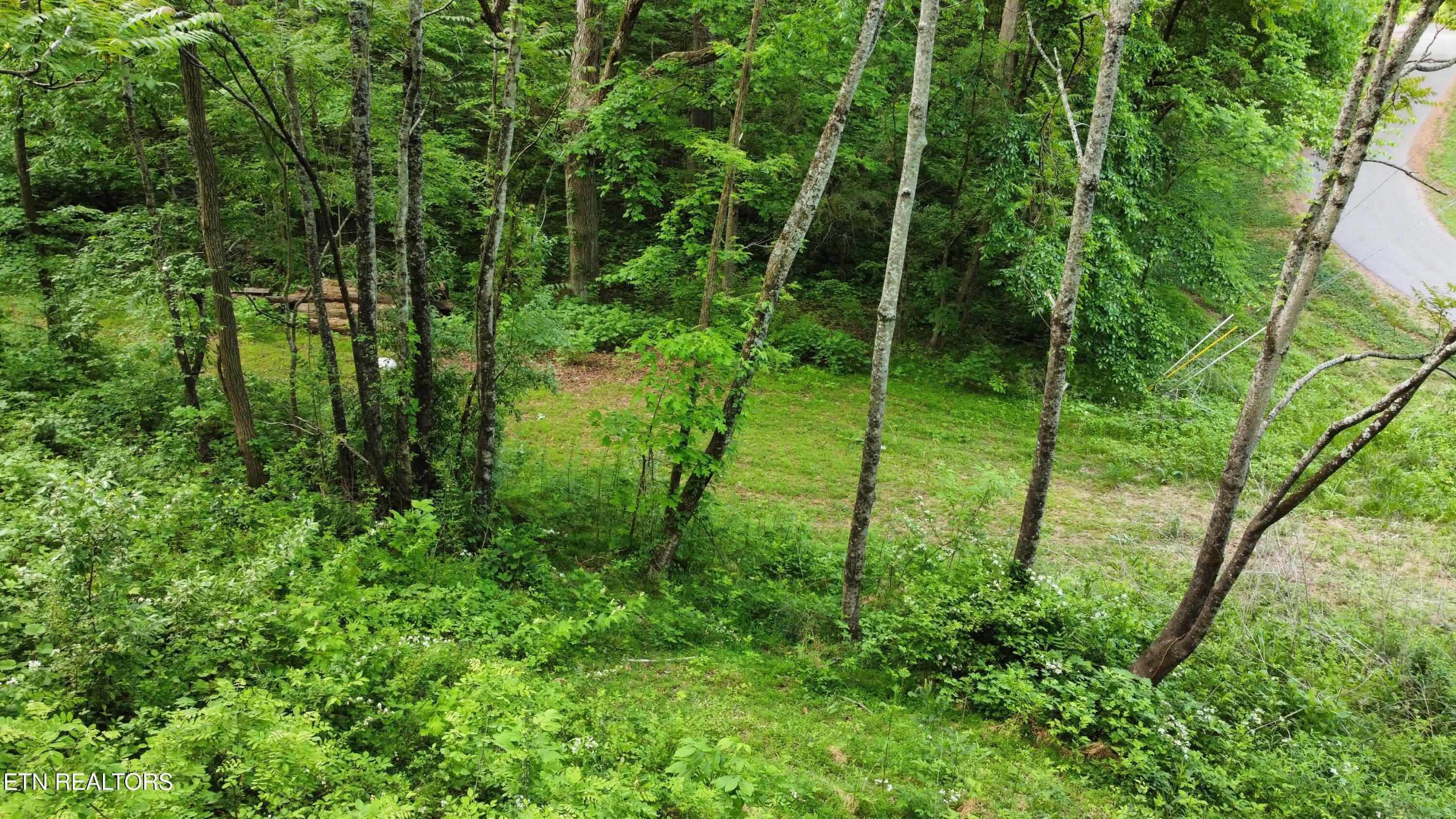 Image 4: dji_fly_20260502_093502_208_177772890986