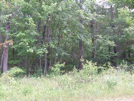 2005 Okmulgee Ln  276