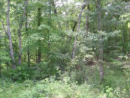 6262 Osage Road  37