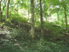 Lot 14-16 Austin Lake Rd
