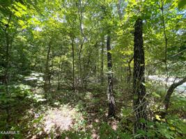 222 Bainbridge Road Rd