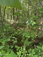 Lot 84 Lake Brook Ln Lane