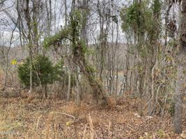 Lot 21 Norris View Lane Drive