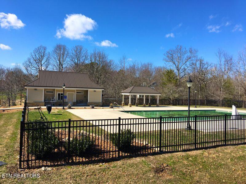 Image 2: Adult Swimming Pool