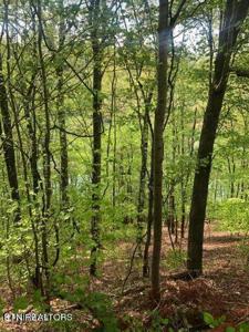 Lot 90 Black Fox Harbor Rd