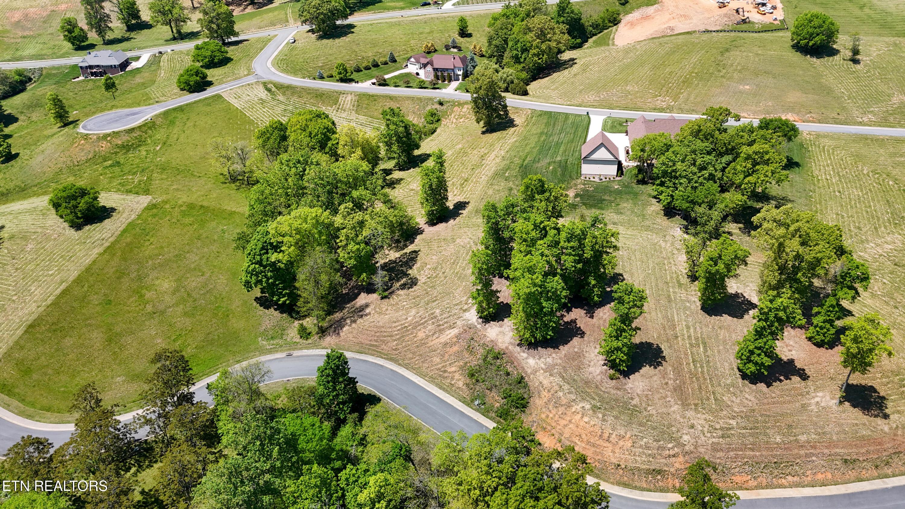 Image 2: dji_fly_20260421_131342_0523_17767930969