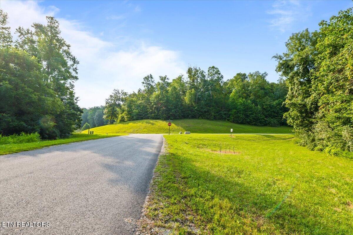 Image 2: 03-Hickory Way