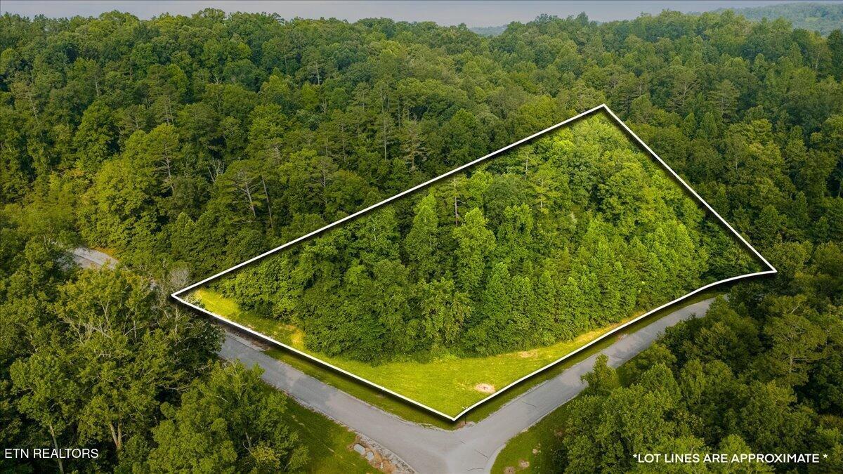 Image 4: 05-Hickory Way