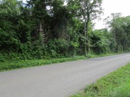 Rocky Springs Rd