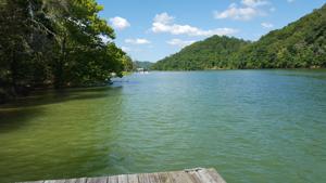 Lot 12-2 Black Fox Harbor Rd