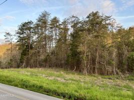 Black Fox Rd