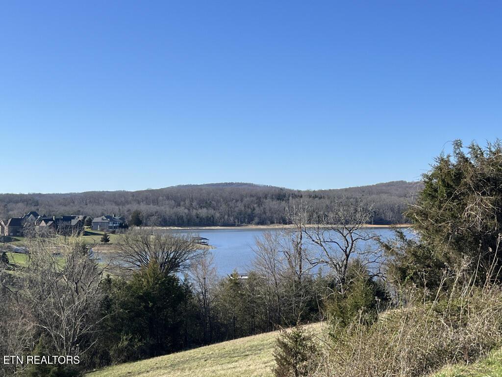 Image 3: 694b Russell Br, Sunset Bay Norris Lake