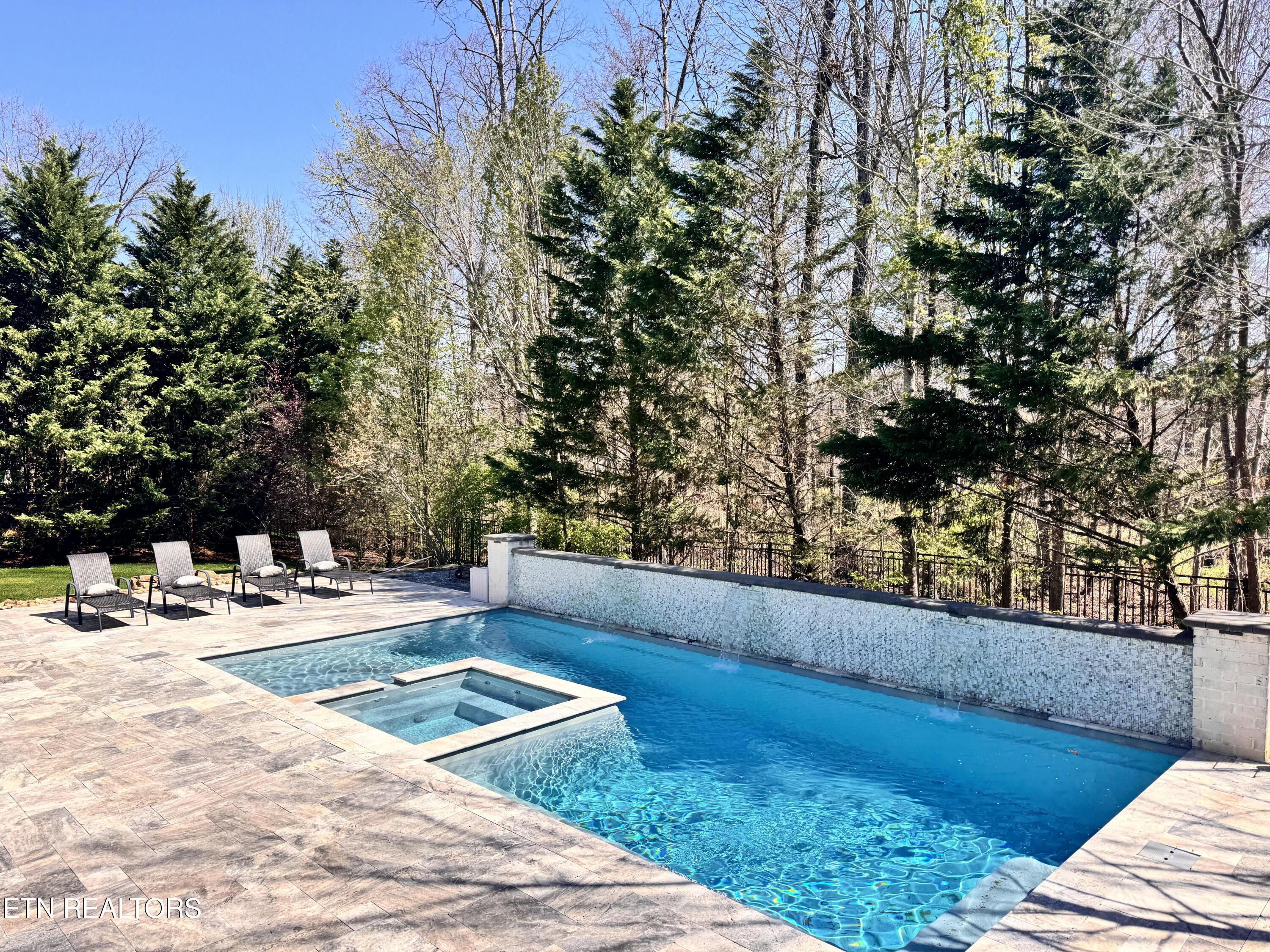 Image 3: Pool & Hot Tub