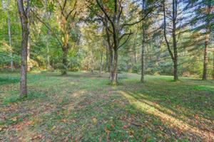 W Gallaher Ferry Rd