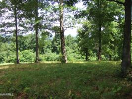 Lot 365 Dove Court