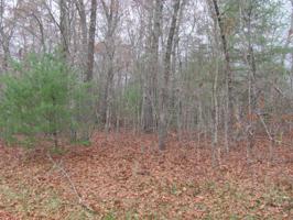 25 Bellwood Rd 90