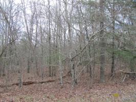 216 Bainbridge Rd 265