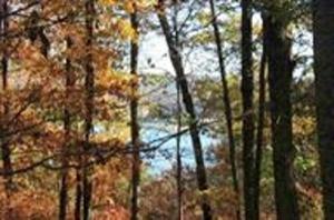 Lot 4 Lakemoore Drive