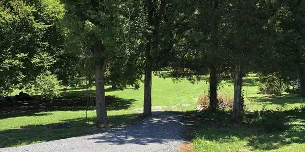 156 Disco Loop Rd