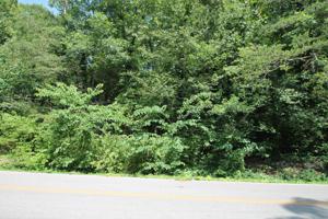 136 Meadowview Drive