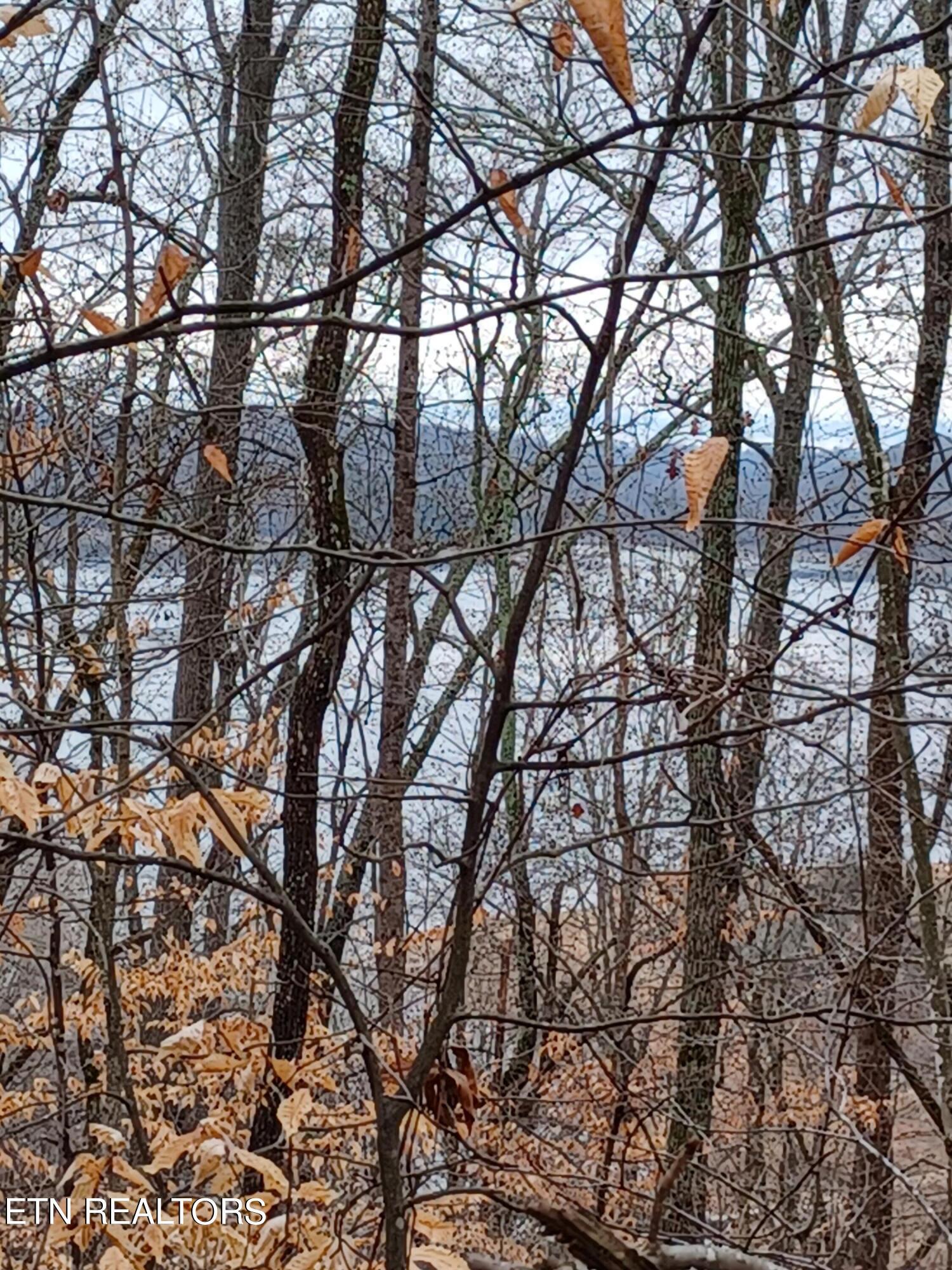 Lot 64 Mallard Baye, Rutledge, TN lhrmls02017281