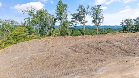 Lot 1 Sommet Ridge East