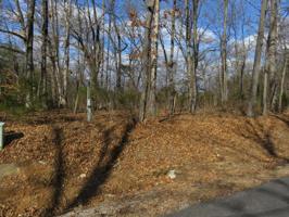 Lot 8 Mialaquo Circle,