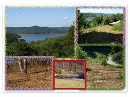 1.10 Ac. Harbor Pointe